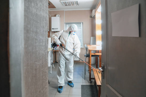 Mold Removal for HVAC Installations in North Palm Beach, FL
