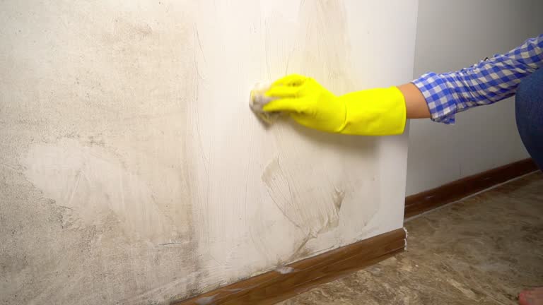 Best Residential Mold Inspection & Testing  in North Palm Beach, FL
