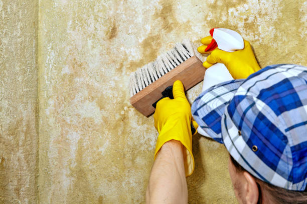 Best Post-Remediation Verification Testing  in North Palm Beach, FL