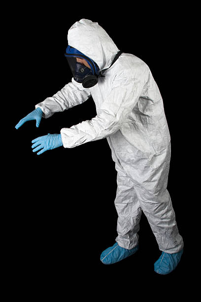 Best Asbestos and Lead Testing During Mold Inspection  in North Palm Beach, FL